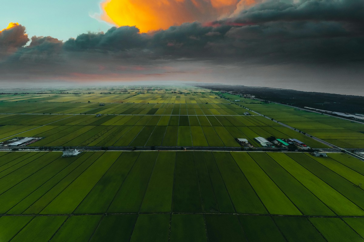 Rede digital brasileira integra dados sobre biodiversidade e mudanças climáticas