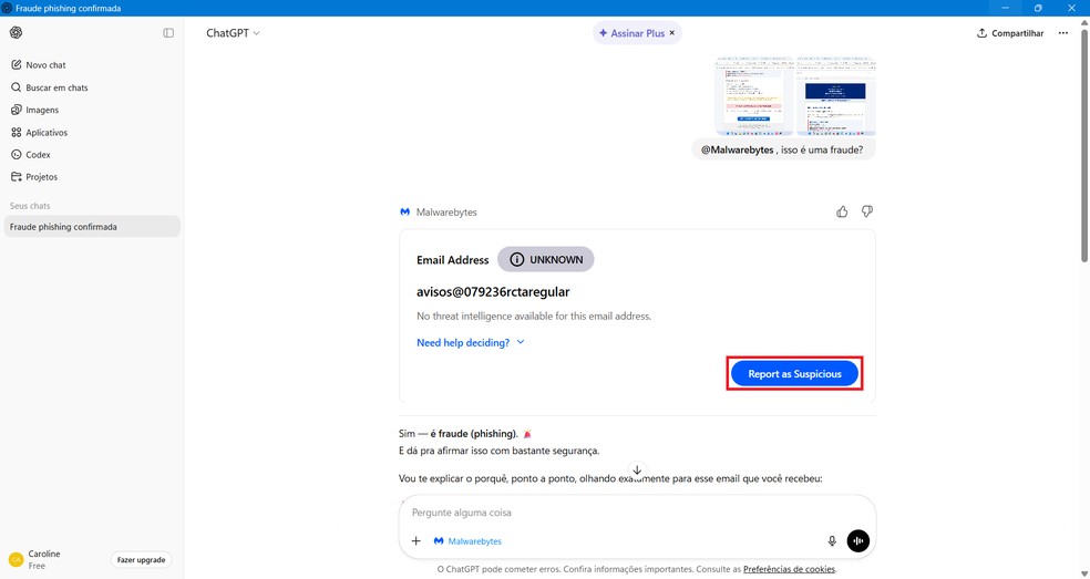  Reprodução/Caroline Silvestre
