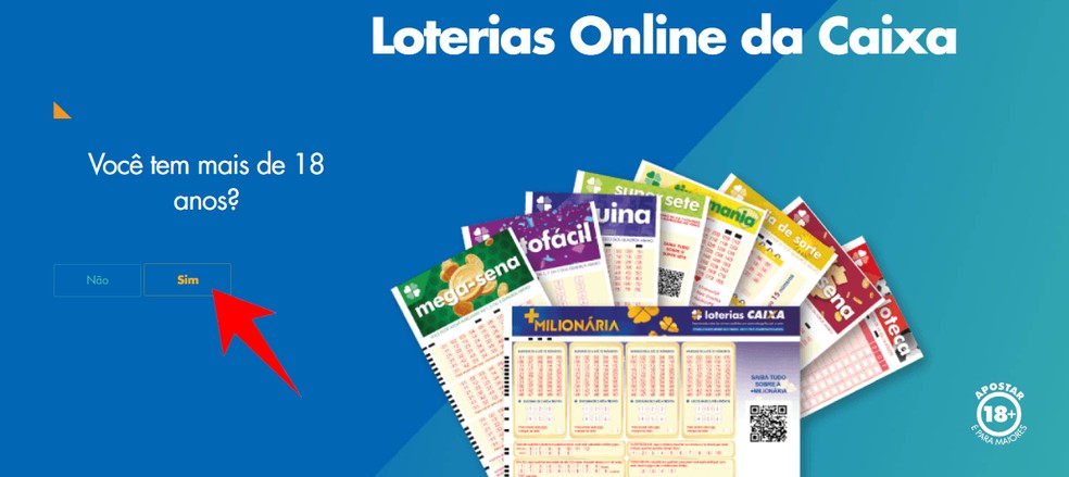 Loterias Online da CAIXA: veja como fazer um combo de apostas