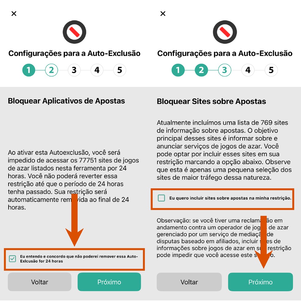  Reprodução/Paola Mansur