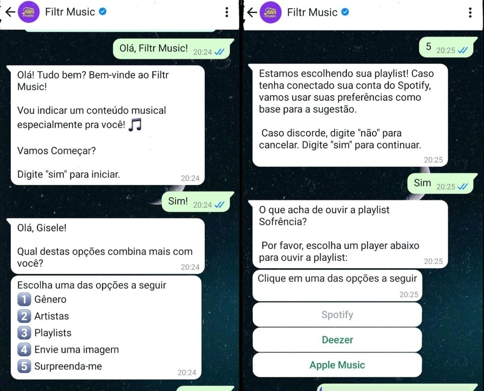  Reprodução/Gisele Souza