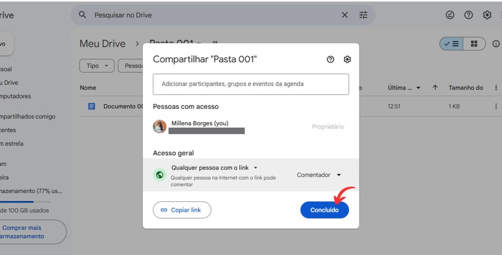  Reprodução/Millena Borges