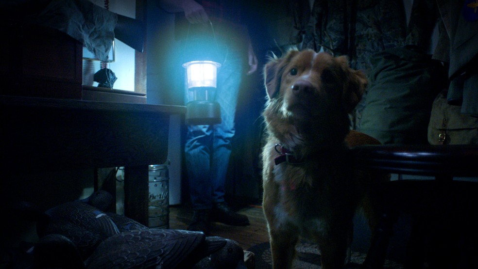  Reprodução/Prime Video