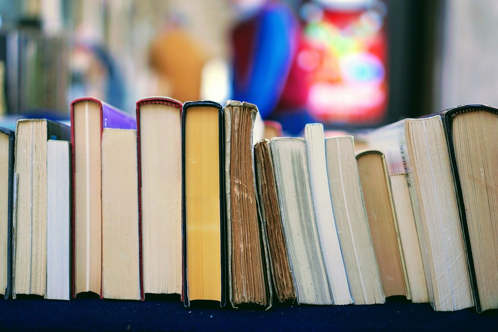 Google Livros Permite Ler Livros de Graça Na Em Catálo Extenso;