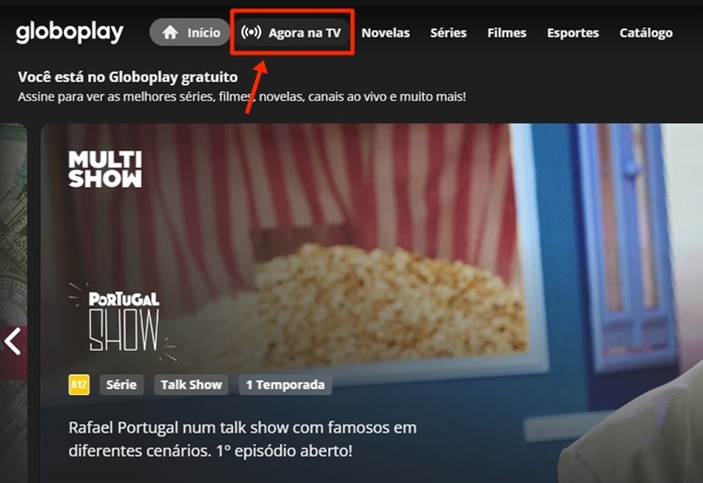 Grêmio x Flamengo ao vivo: onde assistir ao jogo do Brasileirão online