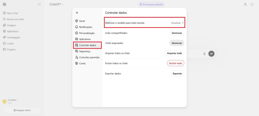  Reprodução/Caroline Silvestre