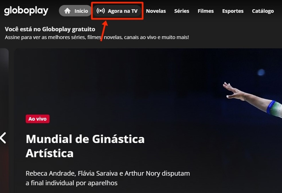 Assista aos canais de TV brasileiros ao vivo - Novelas, futebol