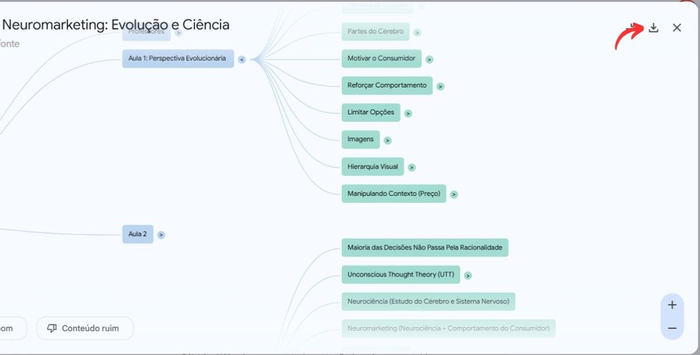  Reprodução/Millena Borges