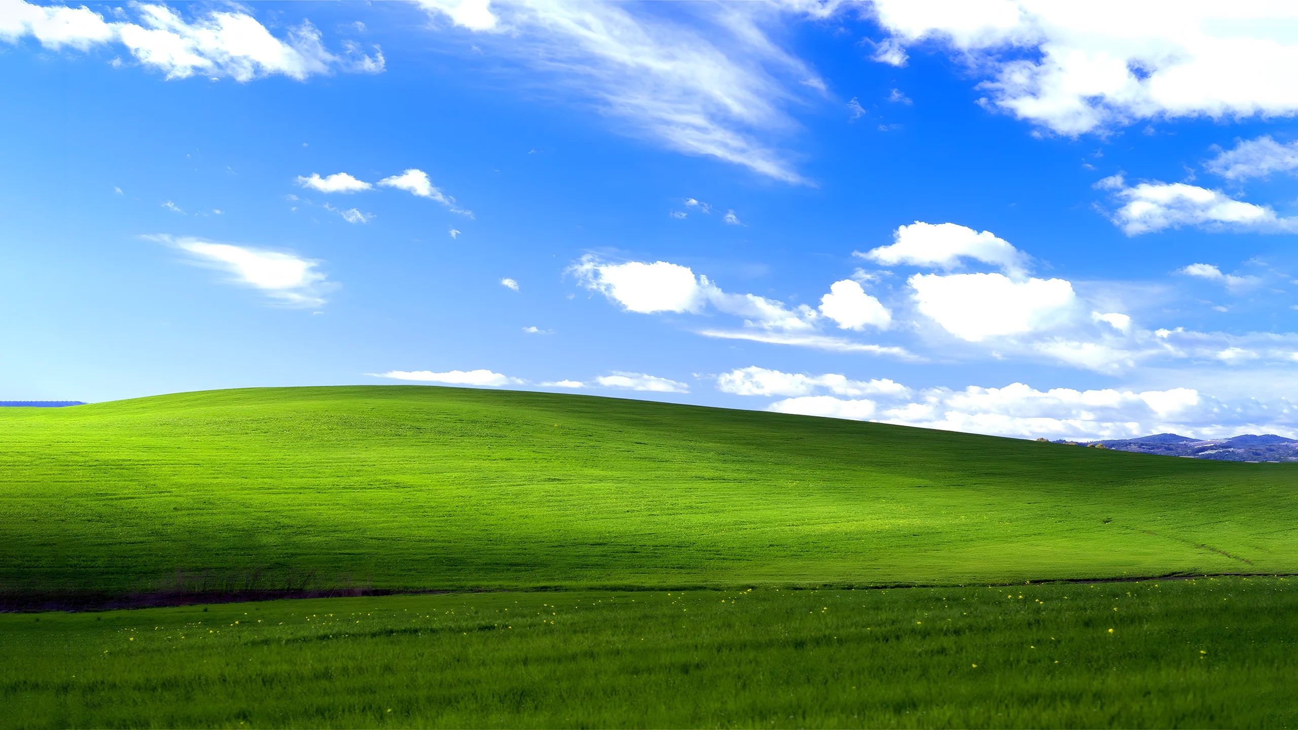 6 imagens do Windows que vão fazer você voltar no tempo