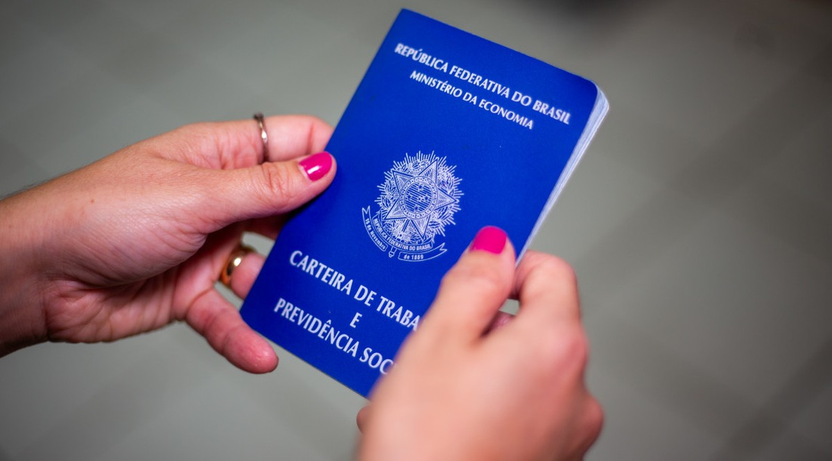 Repis Cidadão: 5 coisas que você precisa saber antes de fazer consulta