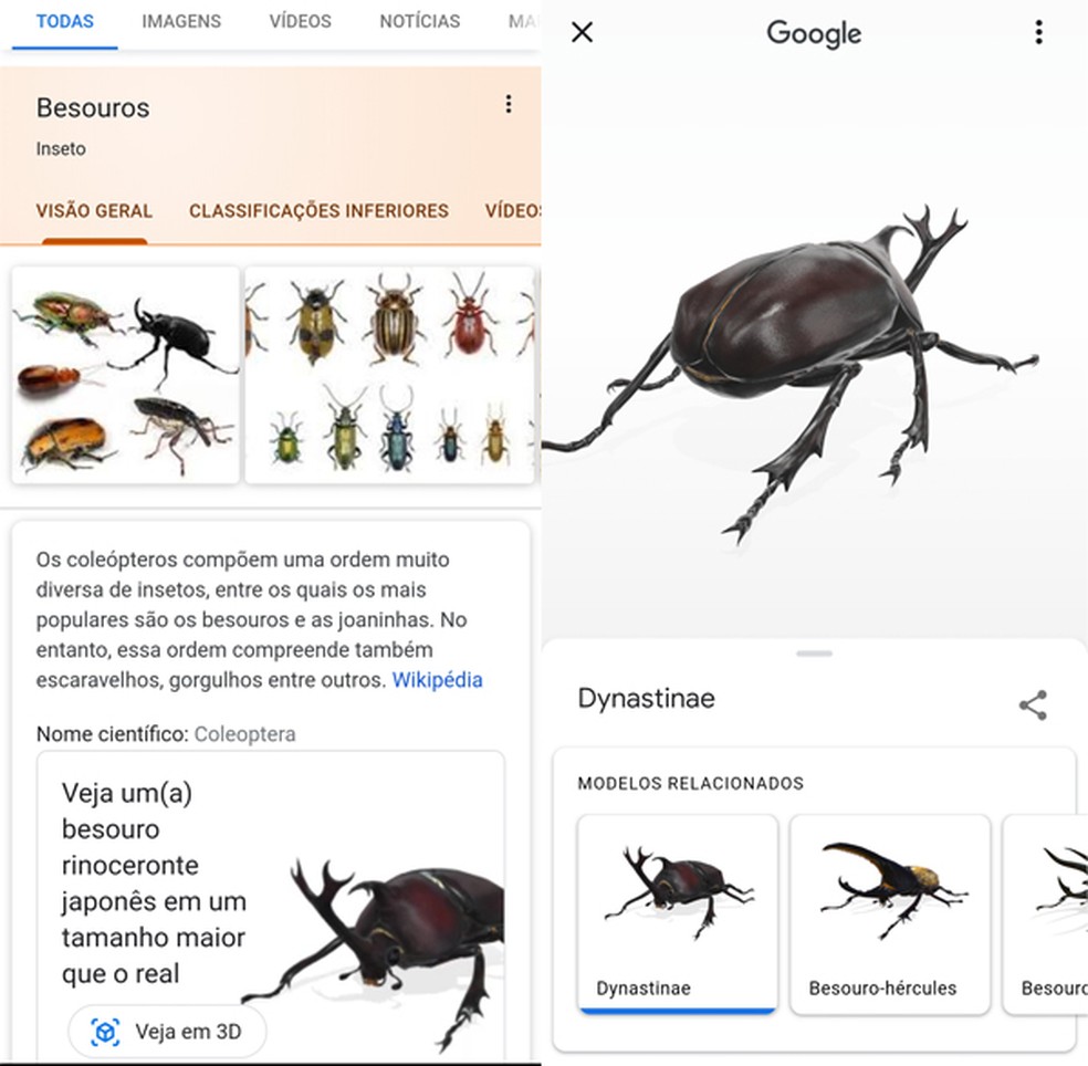Como ver o Coelhinho da Páscoa e vários outros animais em 3D no Google