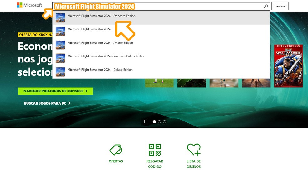Acesse a Microsoft Store, procure por Microsoft Flight Simulator 2024 e selecione-o entre os resultados — Foto: Reprodução/Rafael Monteiro
