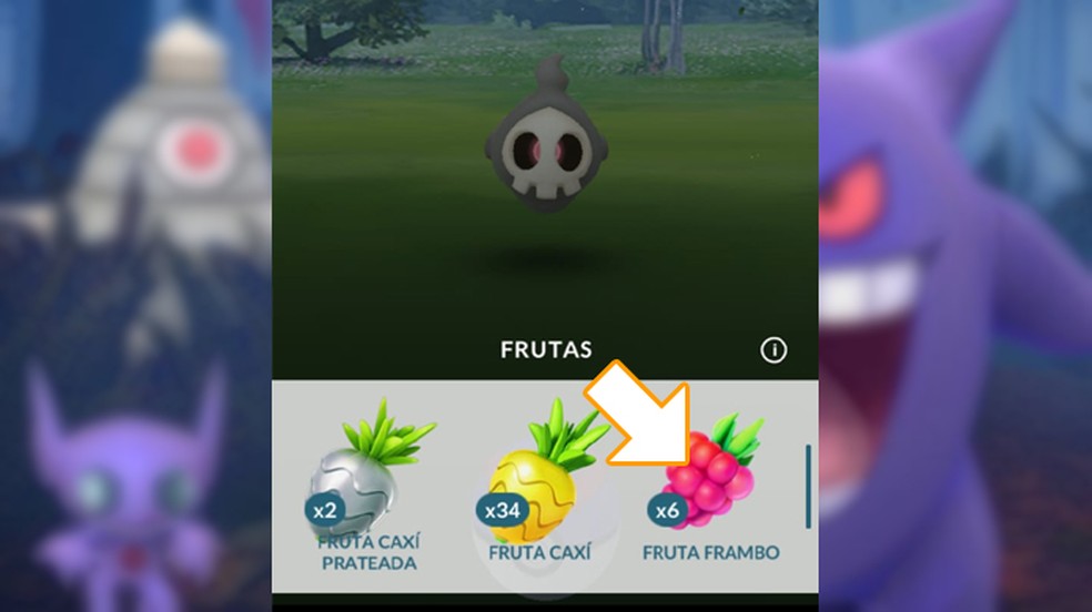 Utilize frutas para aumentar a chance de capturar seu pokémon Fantasma em Pokémon Go — Foto: Reprodução/Rafael Monteiro