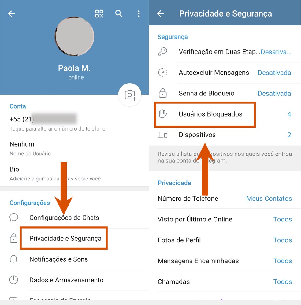  Reprodução/Paola Mansur