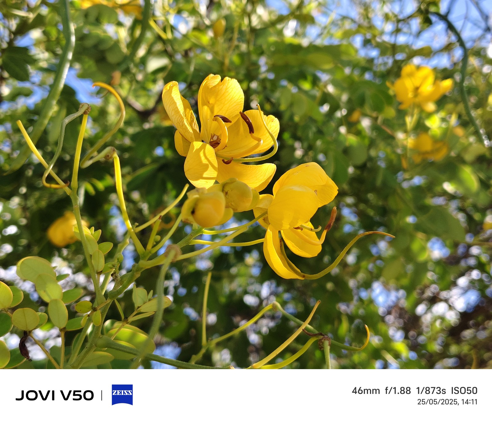  Ana Letícia Loubak/TechTudo