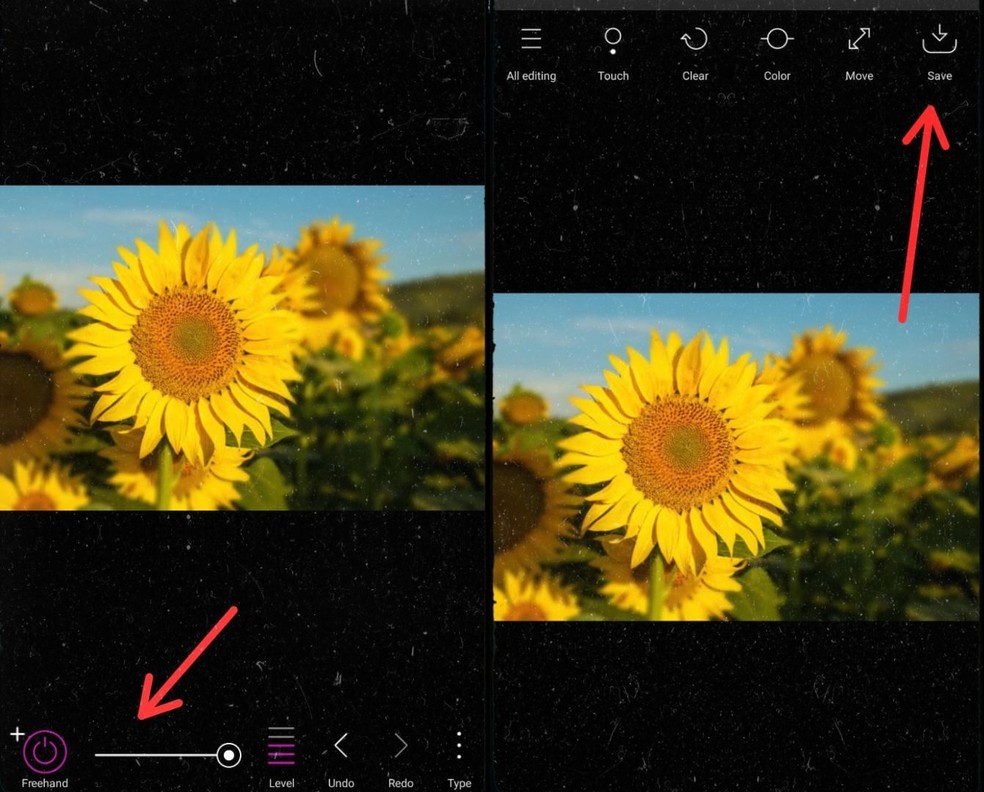  Reprodução/Gisele Souza