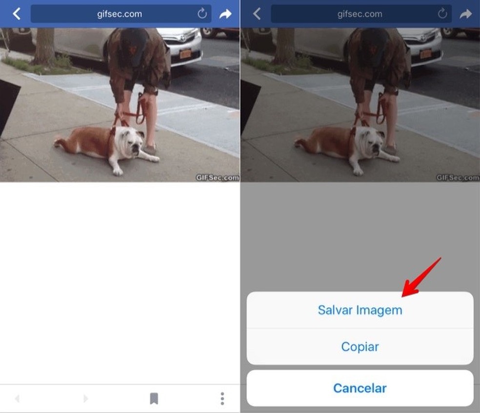 Como fazer para baixar GIFs do Facebook? - Positivo do seu jeito