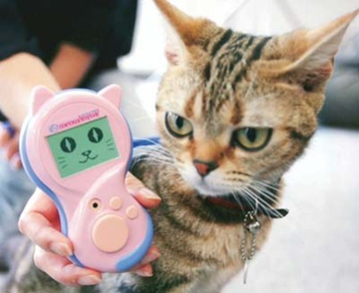 Lista de gadgets bizarros que nunca fizeram sucesso