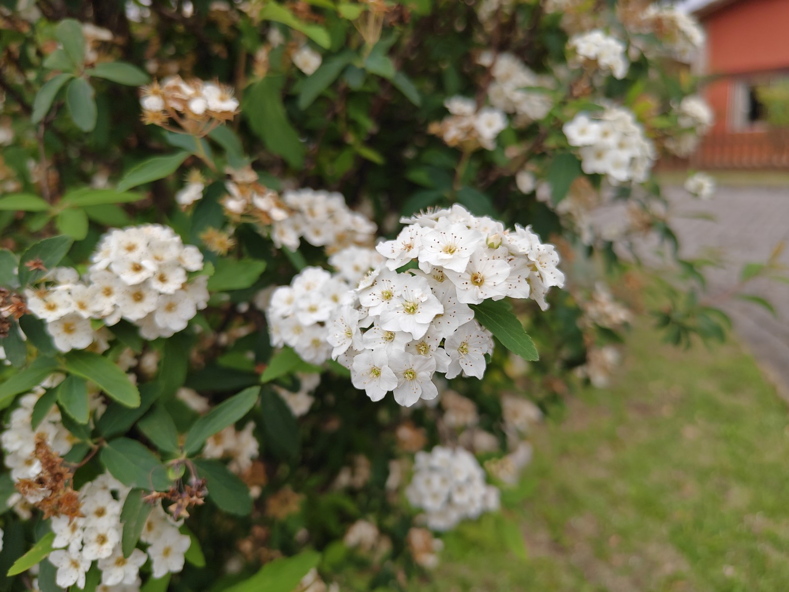  Ana Letícia Loubak/TechTudo