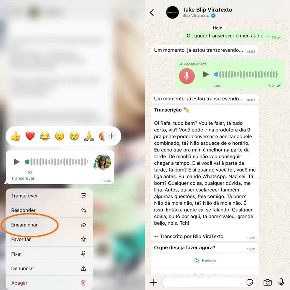  Reprodução/ Raphael Alves