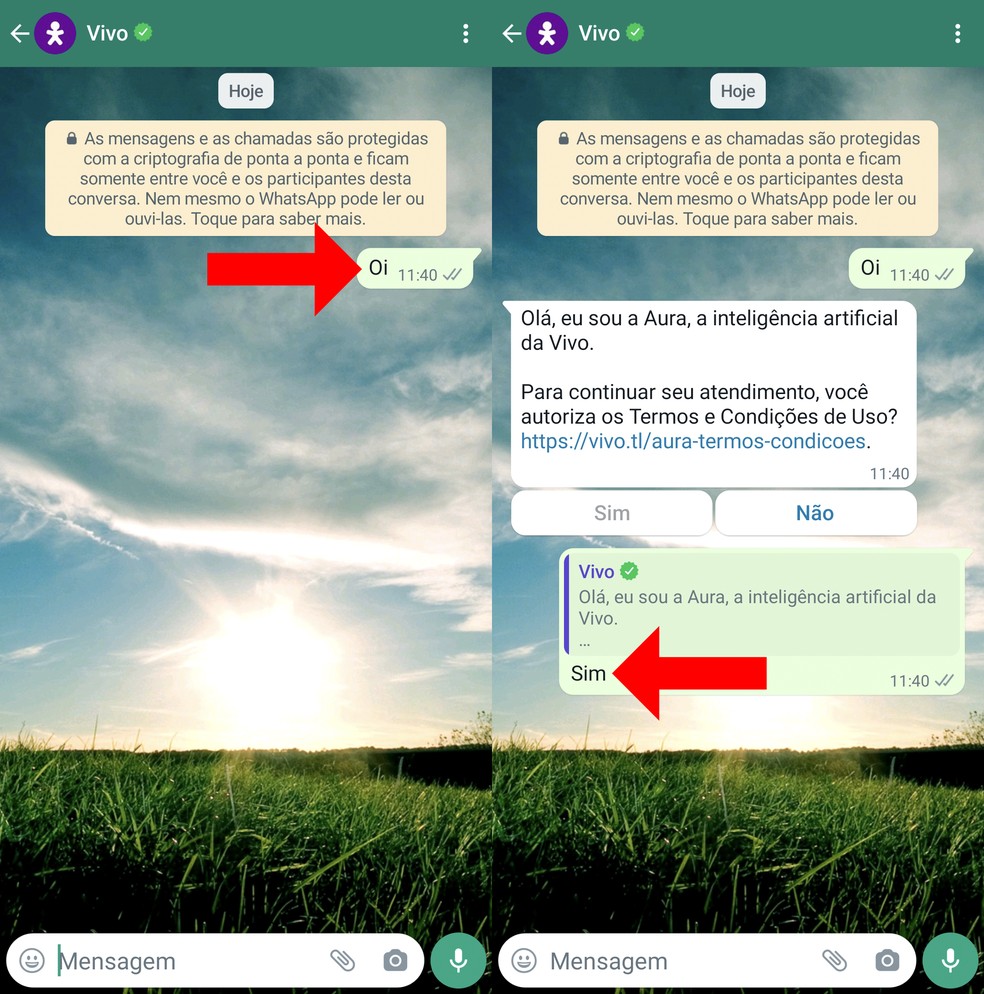 Como emitir segunda via de fatura Vivo Móvel