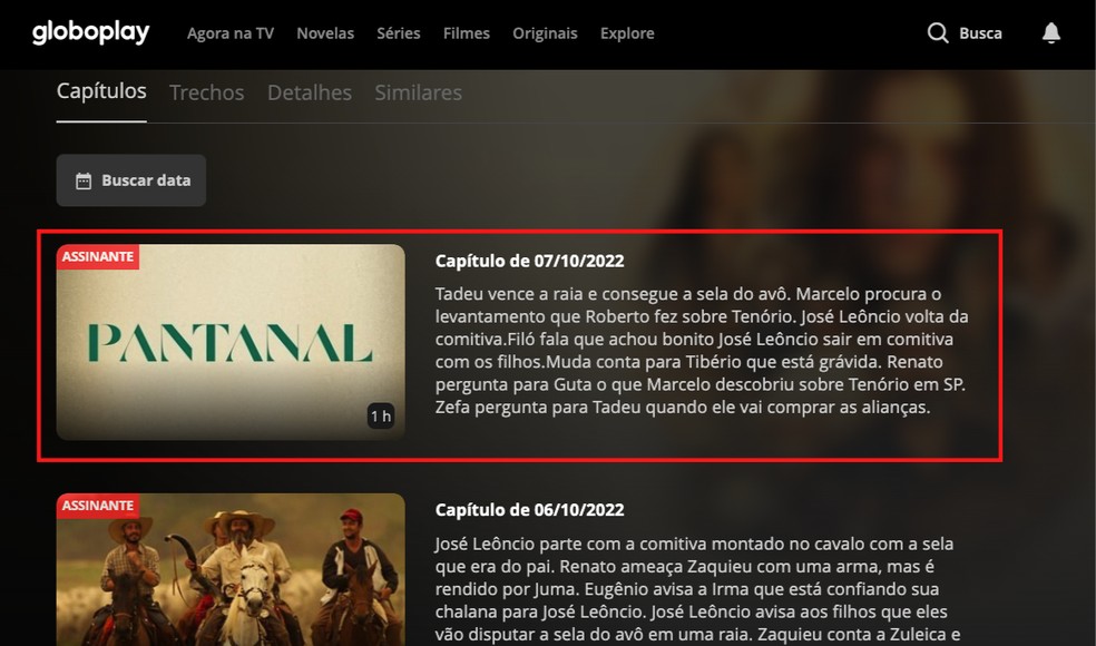 Pantanal - Ver la serie online completas en español