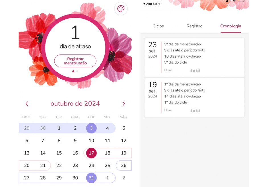 O app "Meu calendário Menstrual" se propõe a ser seu diário mensal