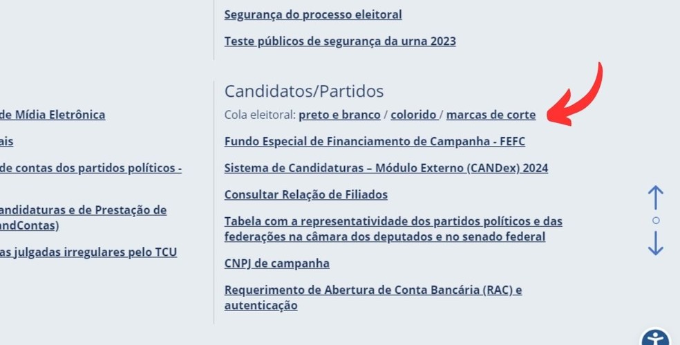 Escolha uma das alternativas de cola eleitoral no site do TSE — Foto: Reprodução/Millena Borges