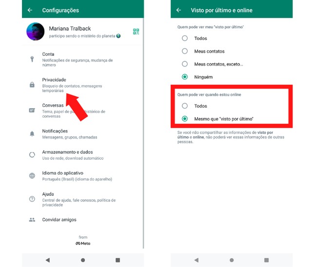 Como deixar alguém 'no vácuo' no WhatsApp