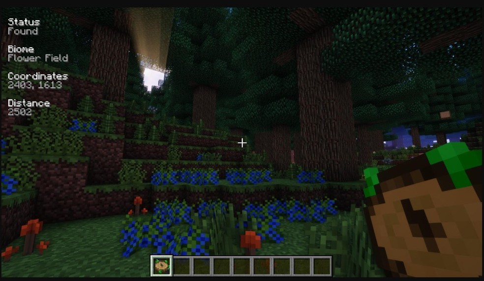 Mod Nature's Compass para o Minecraft — Foto: Divulgação/Curseforge