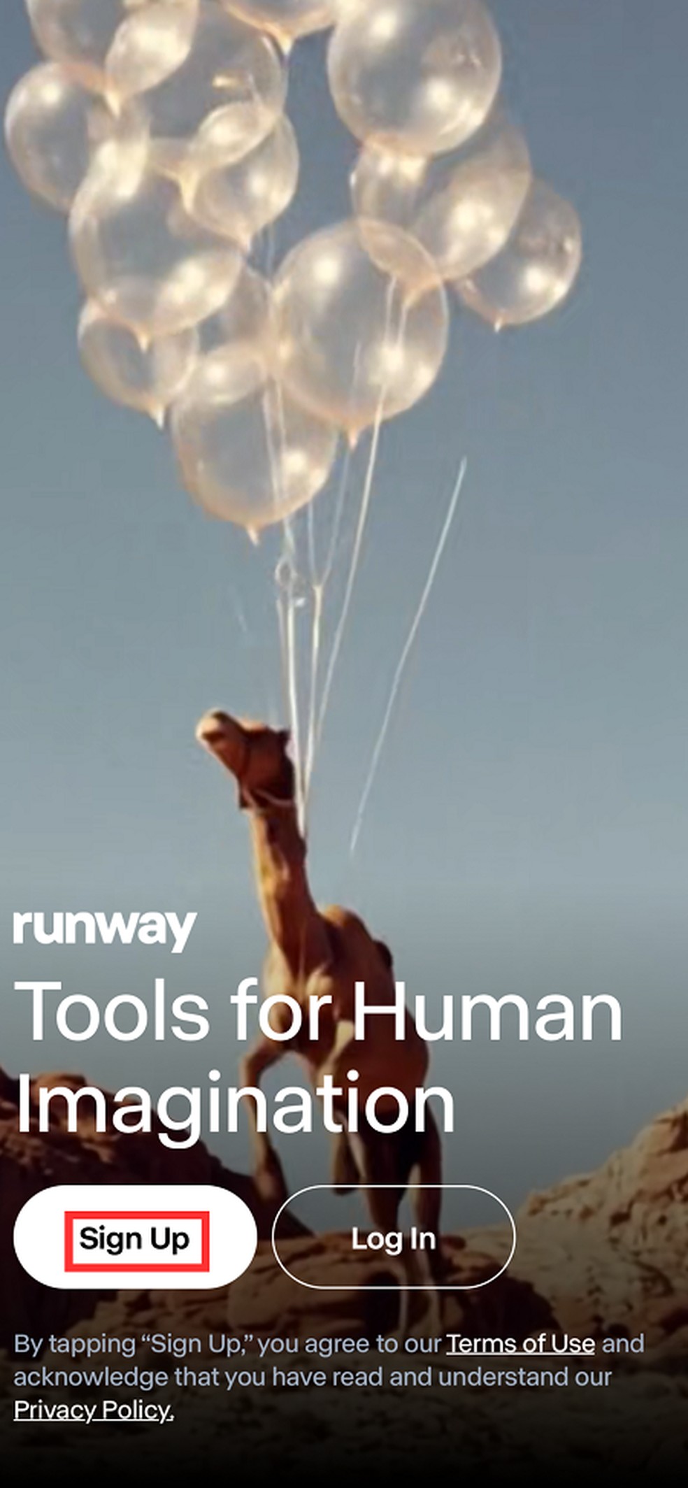  Reprodução/Isabela Carvalho