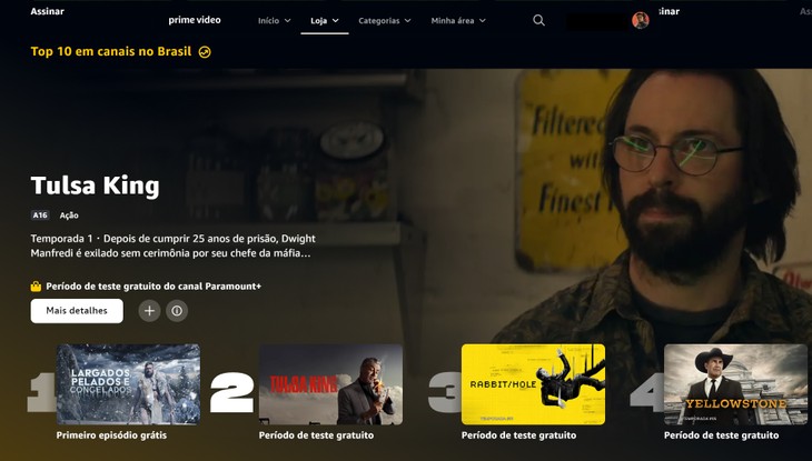 Há canais que podem ser adquiridos no Prime Video, como o Paramount+ e Mubi
