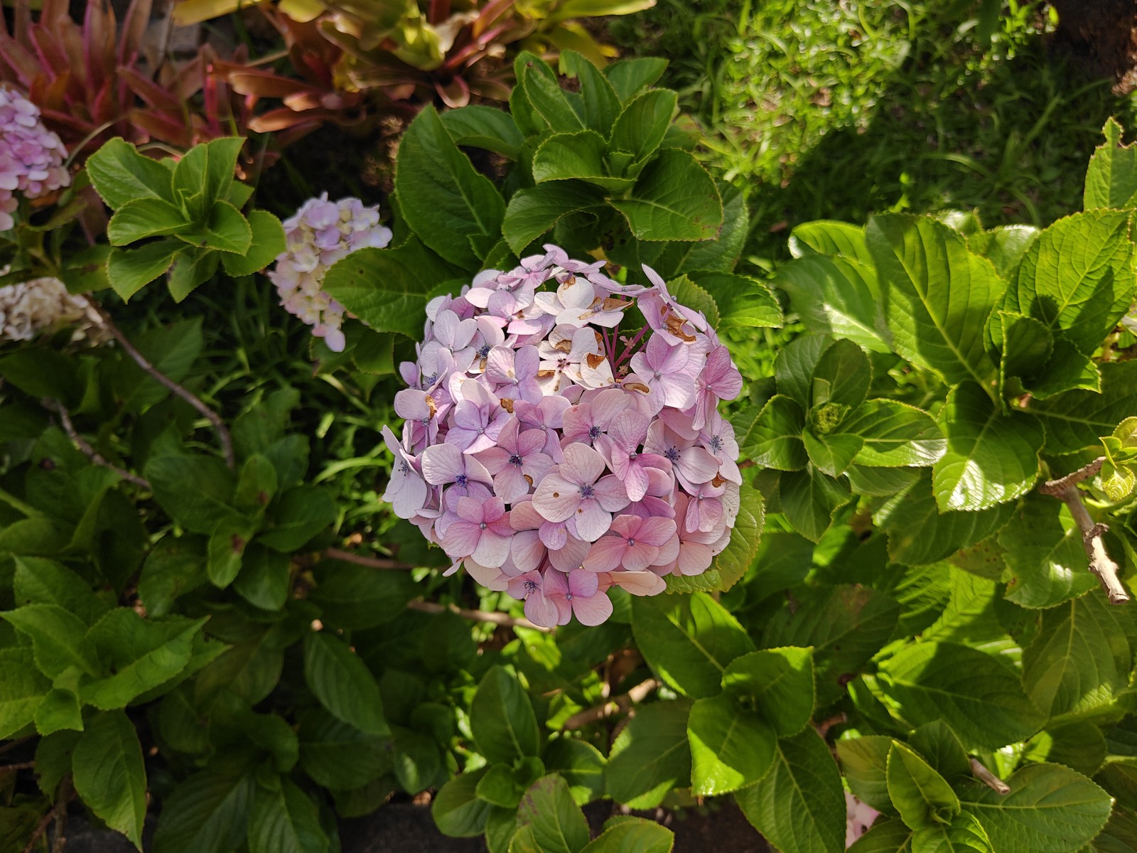  Ana Letícia Loubak/TechTudo