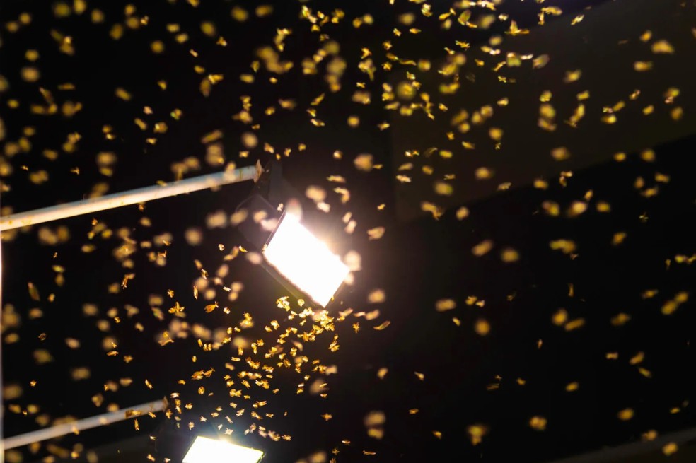  Reprodução/Shutterstock