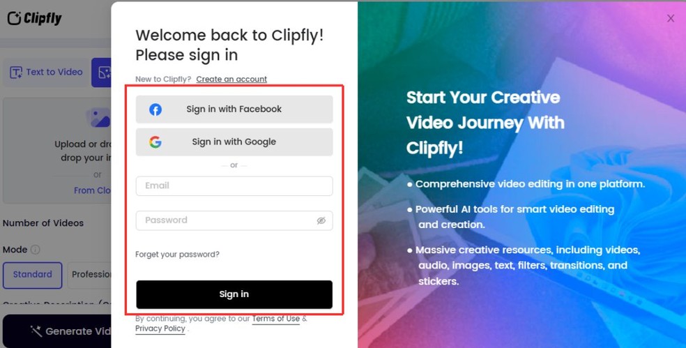  Reprodução/Millena Borges