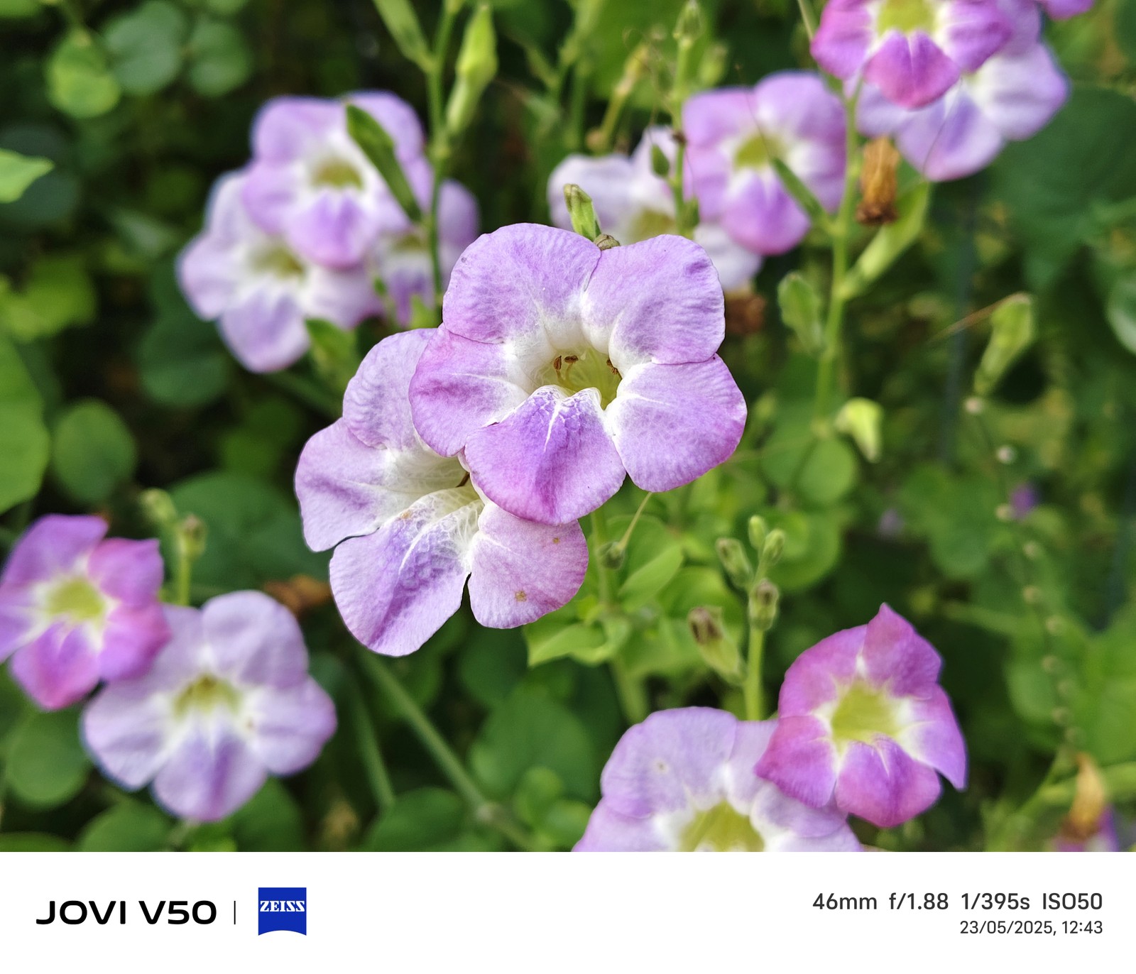  Ana Letícia Loubak/TechTudo