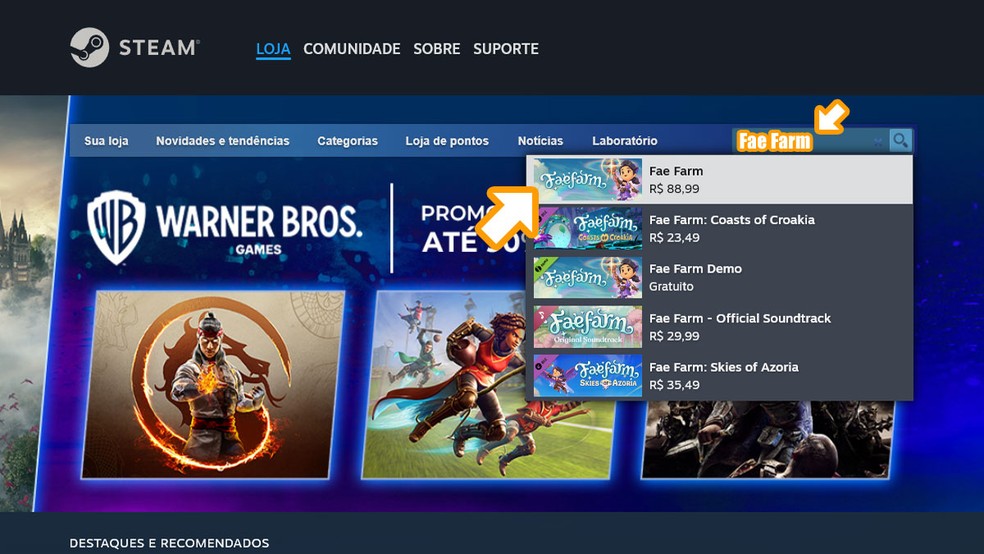 Acesse a loja digital Steam, use a busca no canto superior direito para procurar por "Fae Farm" e entre os resultados clique no jogo — Foto: Reprodução/Rafael Monteiro