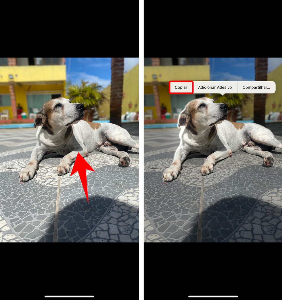 iPhone permite criar figurinha para WhatsApp sem baixar aplicativos — Foto: Reprodução/Rodrigo Fernandes