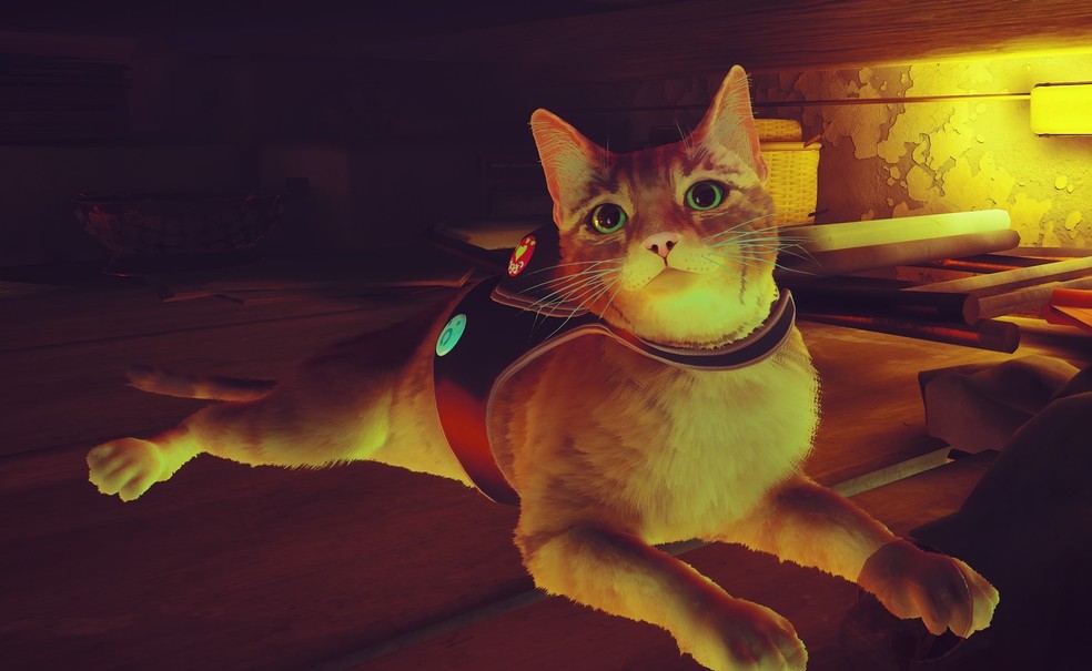 Stray, game do gatinho que fez sucesso no PlayStation chega agora aos consoles Xbox Series X/S e Xbox One — Foto: Reprodução/Luiza M. Martins
