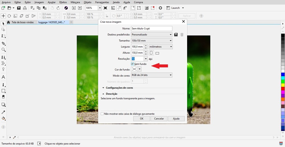 Como tirar fundo de imagem no Corel Draw