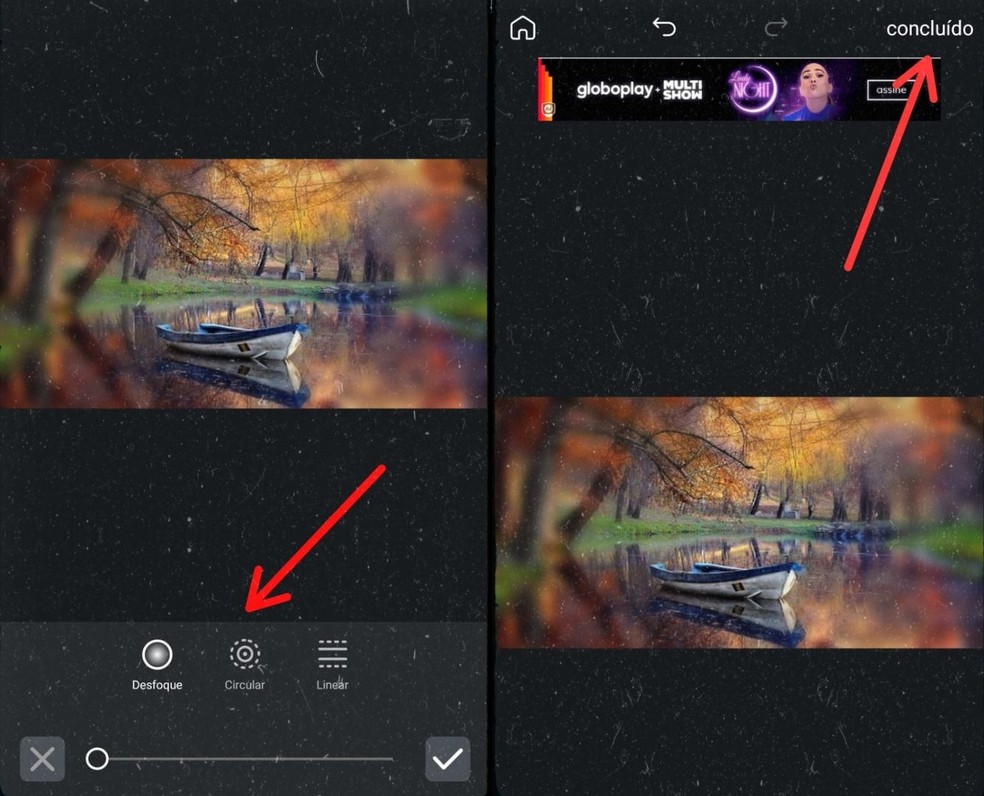  Reprodução/Gisele Souza