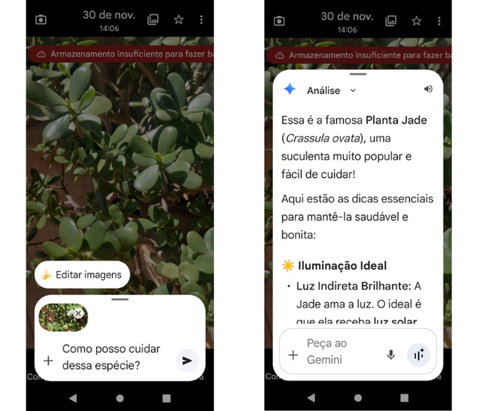  Reprodução/Mariana Tralback