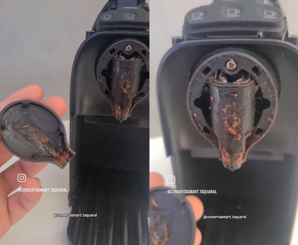  Reprodução/TikTok (@cs_taquaral)