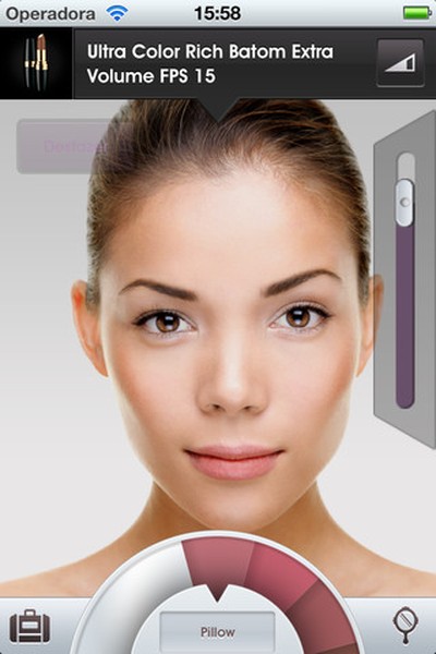 Simulador de Maquiagem Avon, Software