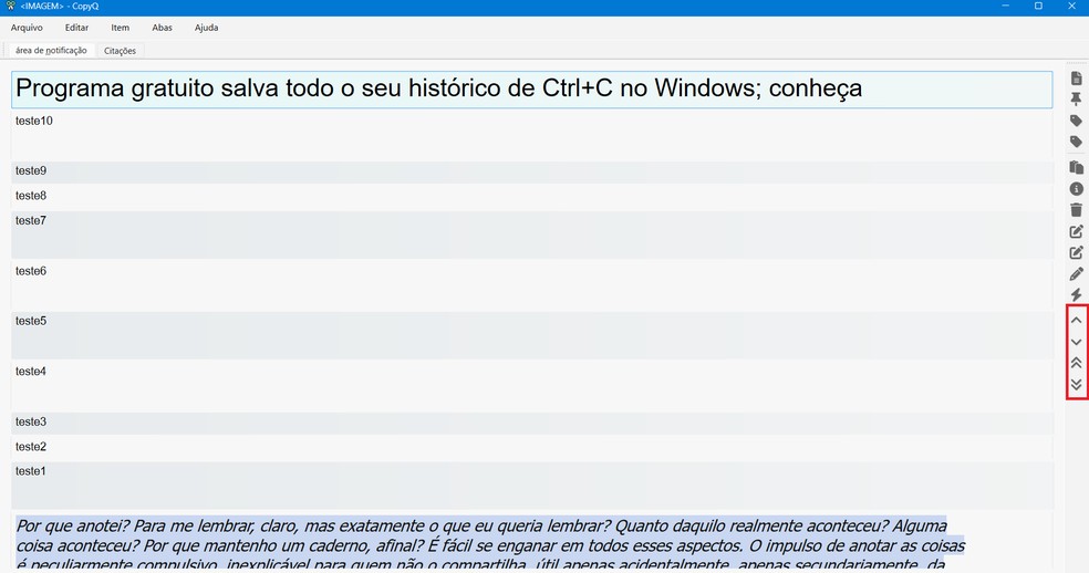  Reprodução/Caroline Silvestre