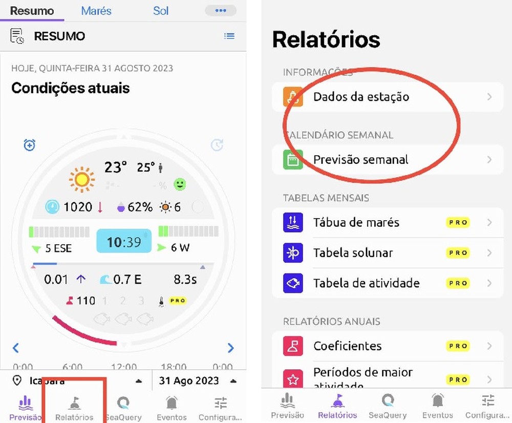 Nautide: app traz informações para planejar atividades aquáticas; saiba ...