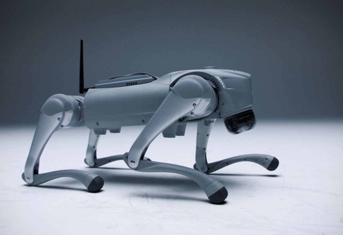 Cão robô mais esperto que os de verdade? Esta IA aprende comandos sozinha