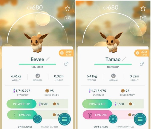 Como evoluir o Eevee para Umbreon e Espeon em Pokémon GO - Canaltech