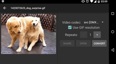 8 Conversores Úteis de GIF em Vídeo para Computador ou Celular