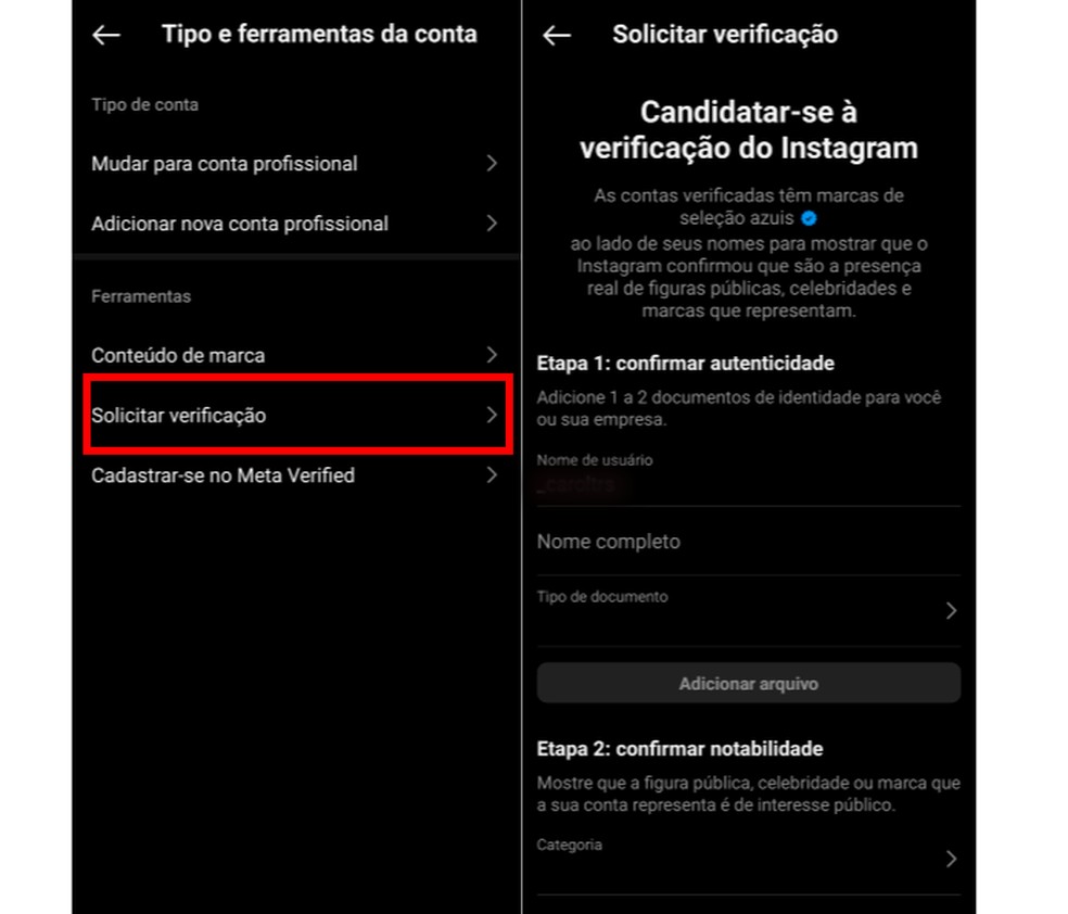 Verificado do Instagram: veja como ser, quanto custa, o que é e mais